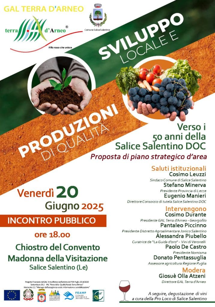 Salice Salentino DOC: Mezzo Secolo di Gusto e Territorio